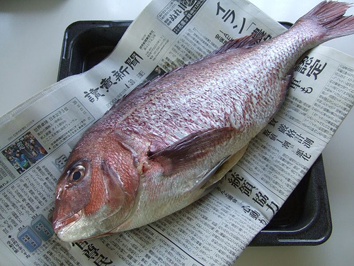 【食べ物・お店】宇和海の鯛めし：瀬戸内の鯛をづけにして食べる鯛めしです