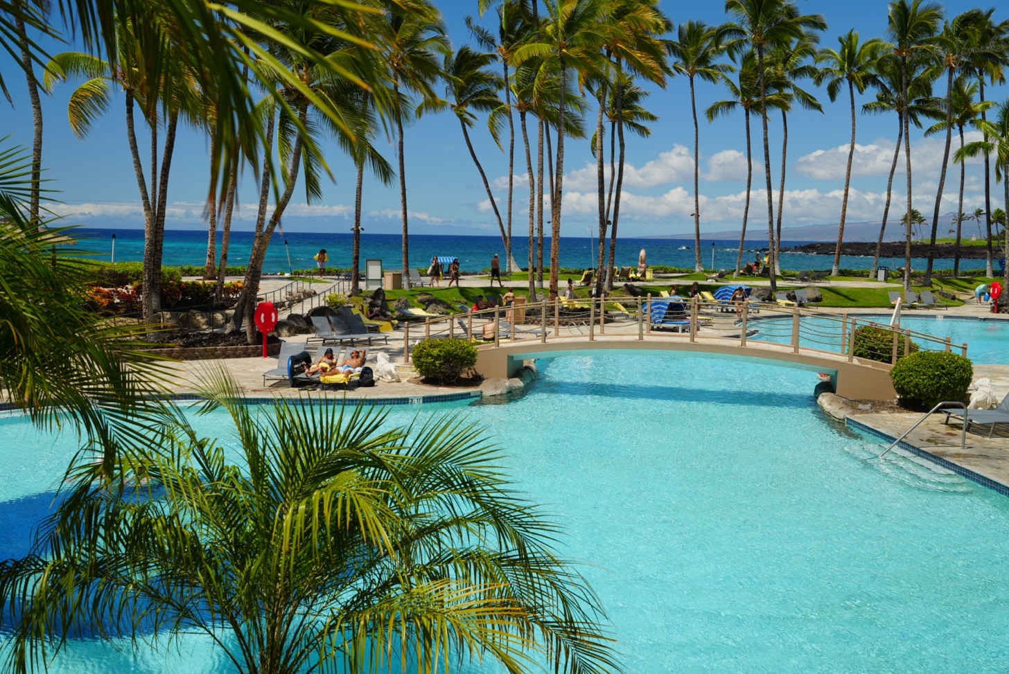 【海外】アロハ〜乱万丈ハワイ島の旅：ビーチ、プール、イルカとハンバーガー