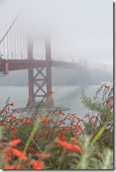 霧のサンフランシスコ
